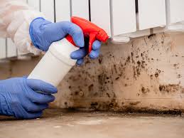 Professional Mold Removal in St Joseph, MO